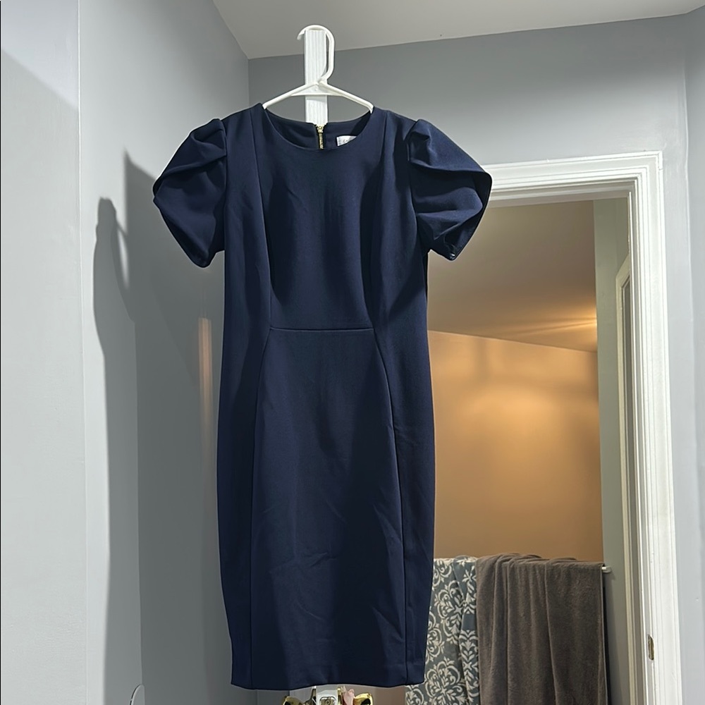 Calvin Klein Blue Puff Sleeve Sheath Dress